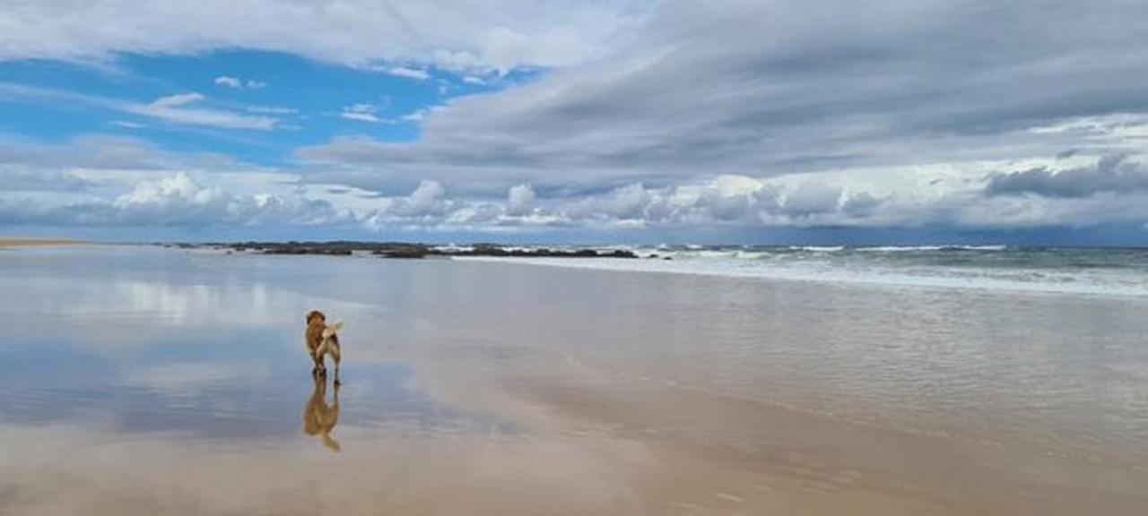 Diamond Beach Resort, Mid North Coast Nsw Dış mekan fotoğraf